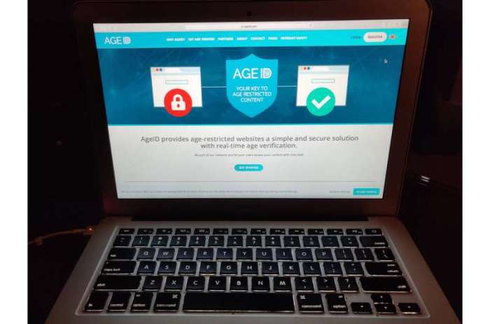 UK plan to control online porn is watched as test case UK plan to control online porn is watched as test case